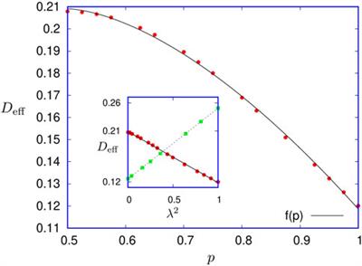 The Fractal Geometry of Growth: Fluctuation–Dissipation Theorem and Hidden Symmetry